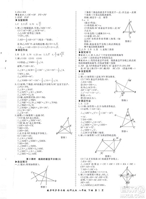 郑州大学出版社2021新学案同步导与练八年级数学下册北师大版答案