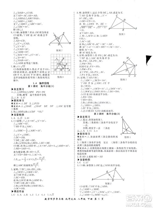 郑州大学出版社2021新学案同步导与练八年级数学下册北师大版答案