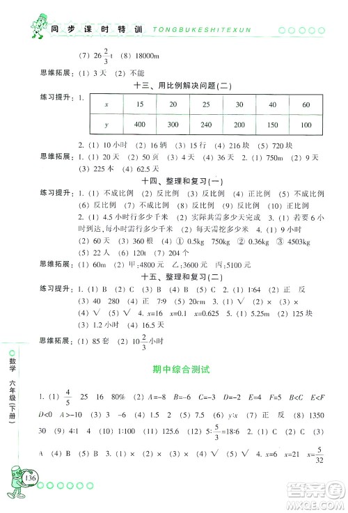 浙江少年儿童出版社2021同步课时特训数学六年级下册R人教版答案