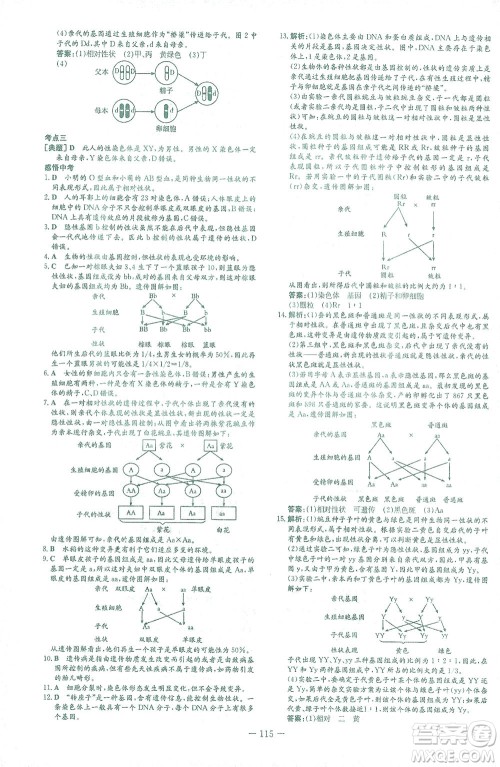 新世纪出版社2021初中同步学习导与练八年级生物下册人教版答案