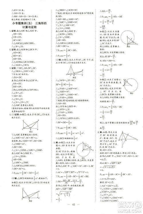 新世纪出版社2021导与练初中学业水平考试九年级数学下册人教版云南专版答案