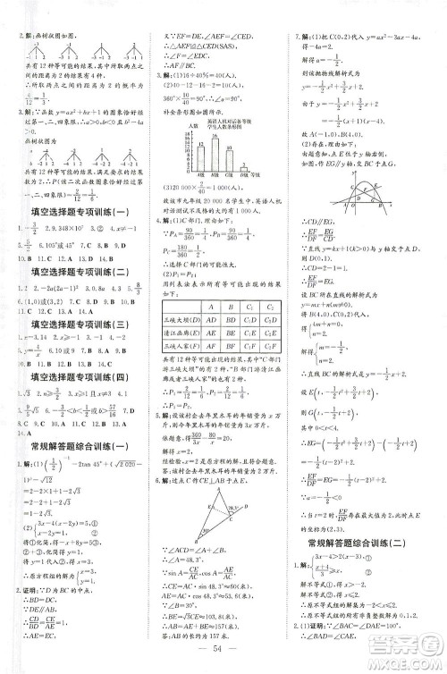 新世纪出版社2021导与练初中学业水平考试九年级数学下册人教版云南专版答案