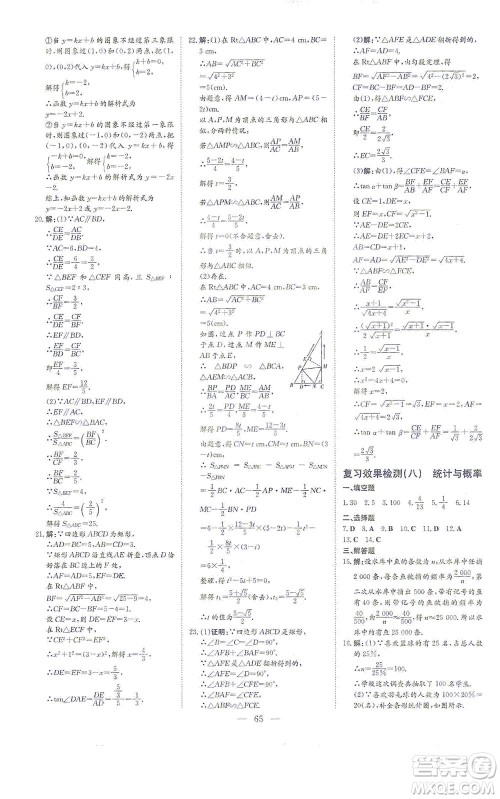 新世纪出版社2021导与练初中学业水平考试九年级数学下册人教版云南专版答案