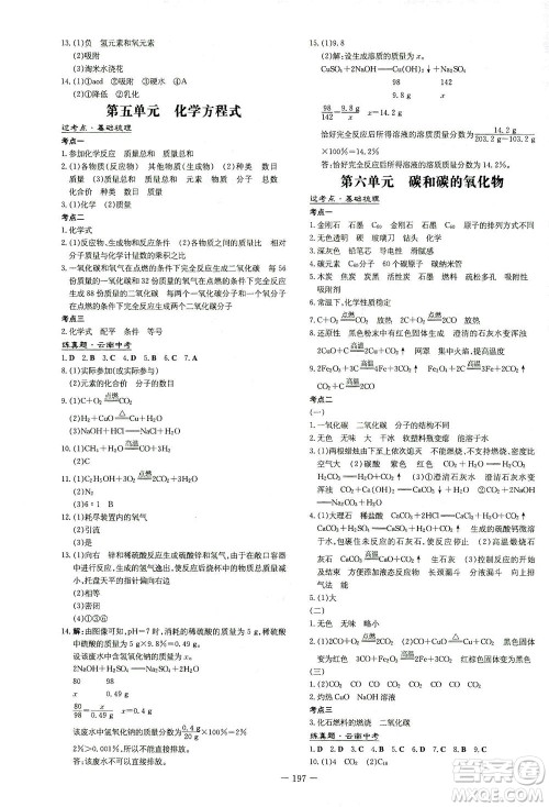 新世纪出版社2021导与练初中学业水平考试九年级化学下册人教版云南专版答案