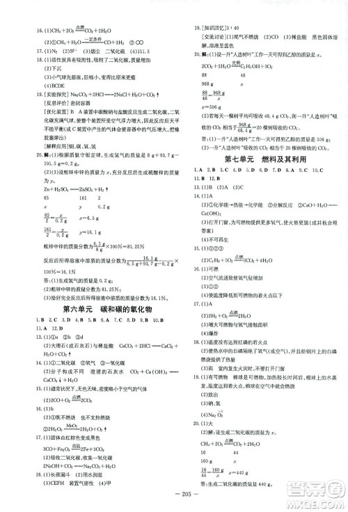 新世纪出版社2021导与练初中学业水平考试九年级化学下册人教版云南专版答案