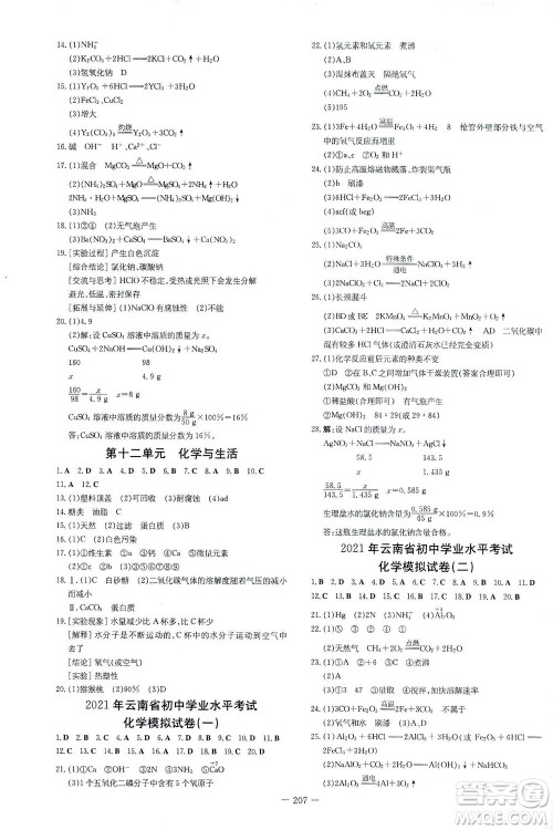 新世纪出版社2021导与练初中学业水平考试九年级化学下册人教版云南专版答案 新世纪出版社2021导与练初中学业水平考试九年级化学下册人教版云南专版答案