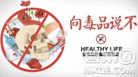 向毒品说不话题作文600字 关于向毒品说不的话题作文600字