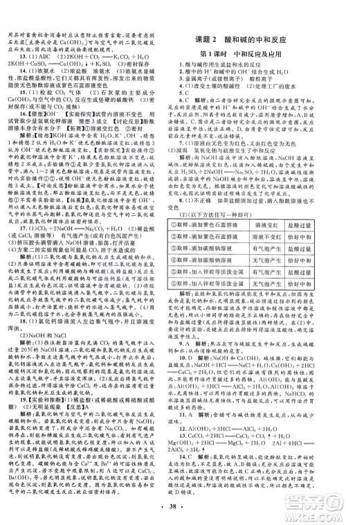 上海大学出版社2021非常1+1完全题练九年级化学下册人教版答案