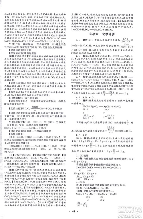 上海大学出版社2021非常1+1完全题练九年级化学下册人教版答案