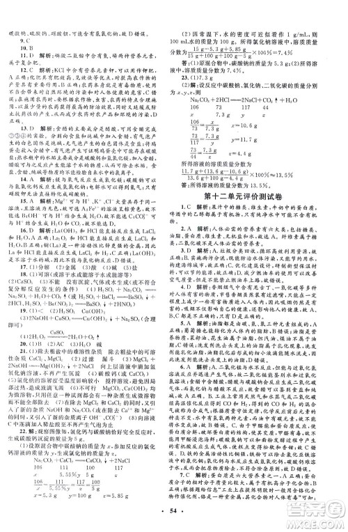 上海大学出版社2021非常1+1完全题练九年级化学下册人教版答案