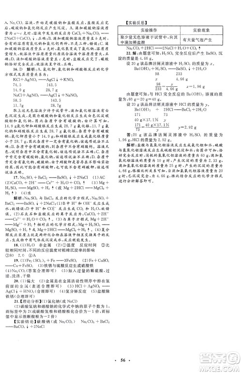 上海大学出版社2021非常1+1完全题练九年级化学下册人教版答案