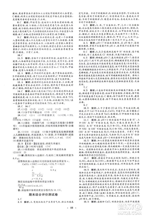 上海大学出版社2021非常1+1完全题练九年级化学下册人教版答案