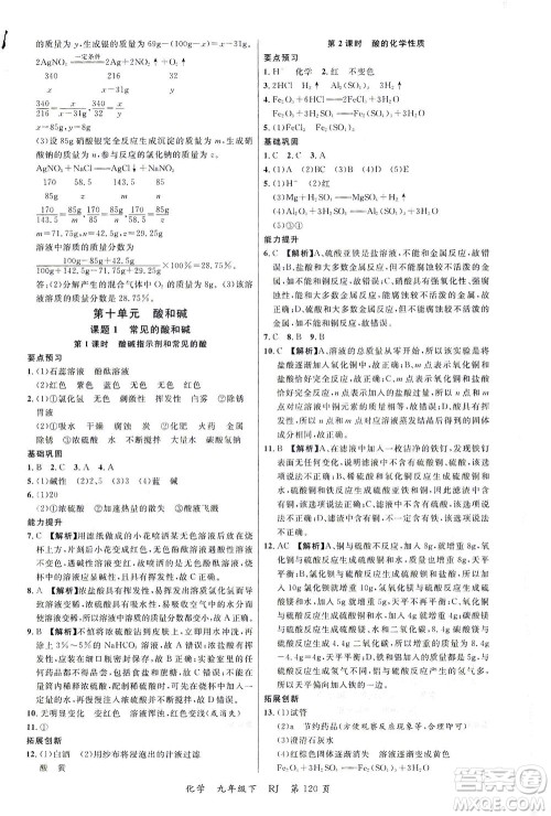 延边大学出版社2021一线课堂九年级化学下册人教版答案