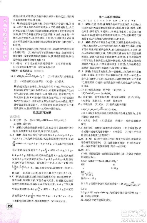 北京教育出版社2021倍速学习法九年级化学下册人教版参考答案