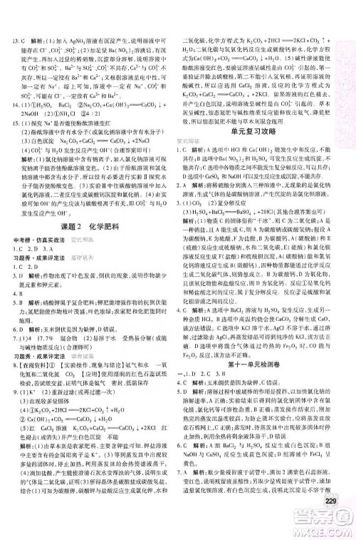 北京教育出版社2021倍速学习法九年级化学下册人教版参考答案