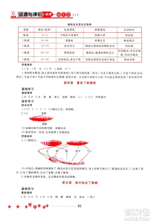 黑龙江教育出版社2021资源与评价三年级科学下册教科版答案