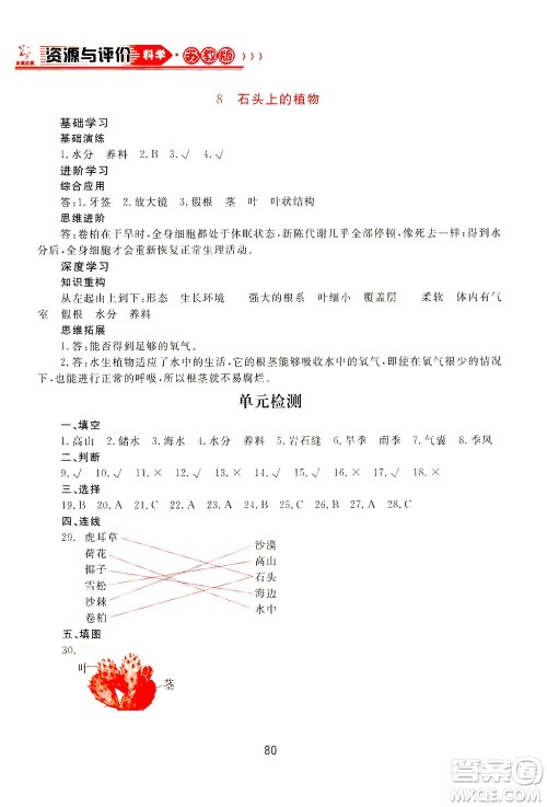 黑龙江教育出版社2021资源与评价三年级科学下册苏教版答案