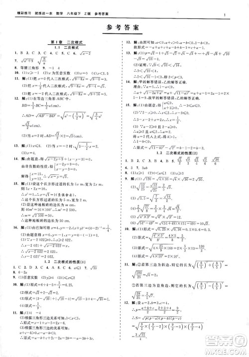 浙江工商大学出版社2021精彩练习就练这一本八年级数学下册浙教版答案