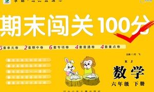 河北少年儿童出版社2021期末闯关100分数学六年级下册RJ人教版答案