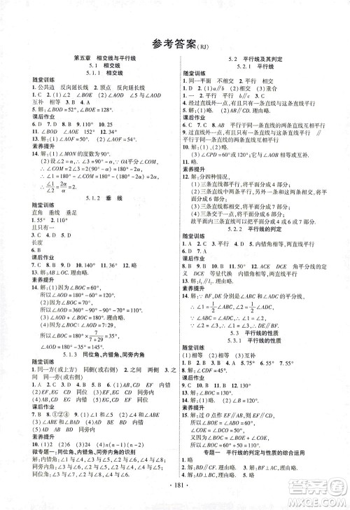 新疆文化出版社2021课时掌控七年级数学下册人教版答案