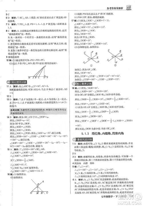 北京教育出版社2021年1+1轻巧夺冠优化训练七年级下册数学人教版参考答案