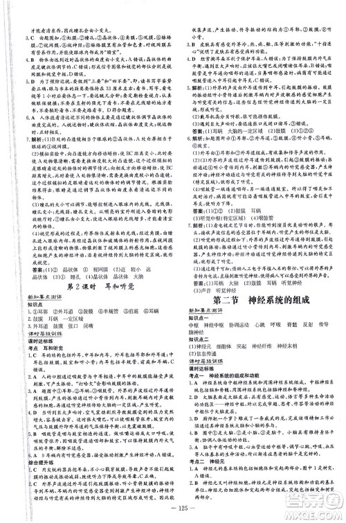新世纪出版社2021练案课时作业本生物七年级下册人教版答案 新世纪出版社2021练案课时作业本生物七年级下册人教版答案