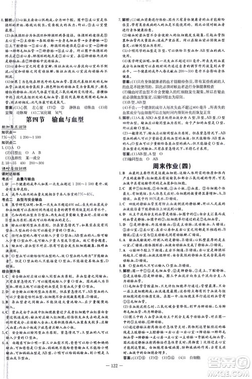 新世纪出版社2021练案课时作业本生物七年级下册人教版答案 新世纪出版社2021练案课时作业本生物七年级下册人教版答案