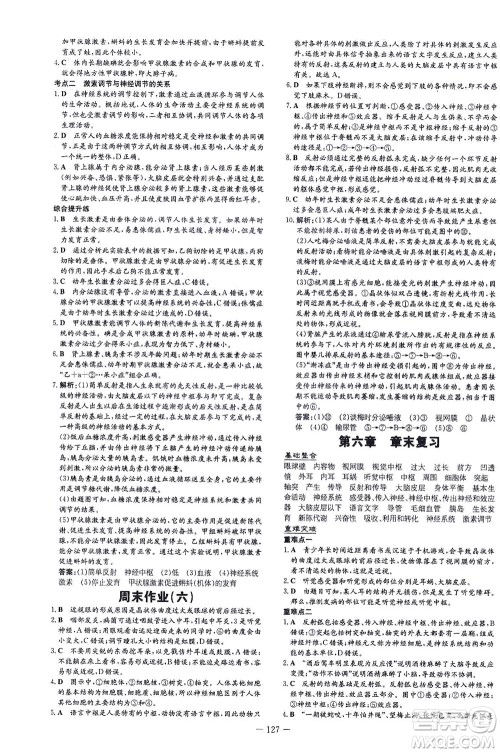 新世纪出版社2021练案课时作业本生物七年级下册人教版答案 新世纪出版社2021练案课时作业本生物七年级下册人教版答案