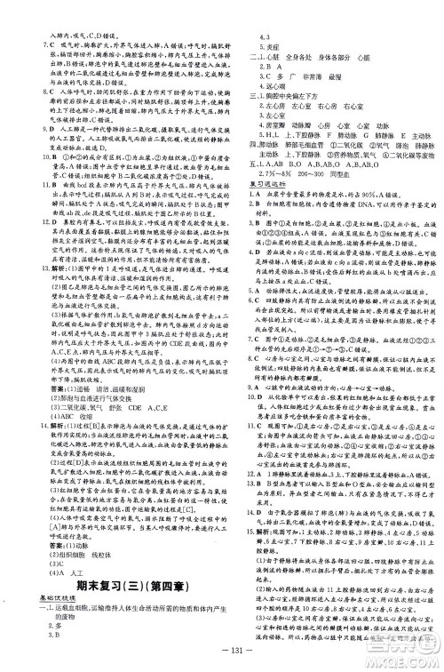 新世纪出版社2021练案课时作业本生物七年级下册人教版答案 新世纪出版社2021练案课时作业本生物七年级下册人教版答案