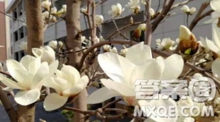 平凡而不平庸作文400字 关于平凡而不平庸话题作文400字 平凡而不平庸作文400字 关于平凡而不平庸话题作文400字