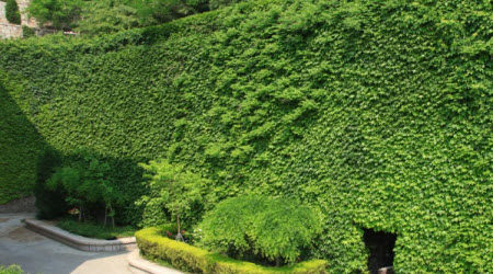 学写游记的作文600字 关于学写游记的作文600字 学写游记的作文600字 关于学写游记的作文600字