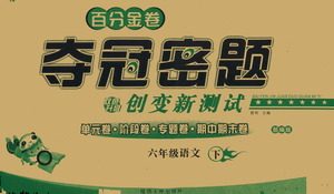 延边人民出版社2021百分金卷夺冠密题语文六年级下册部编人教版答案