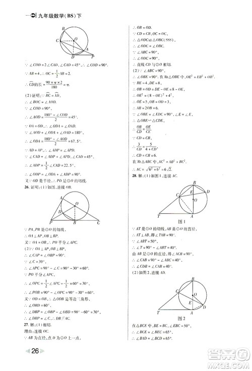 北方妇女儿童出版社2021胜券在握打好基础作业本九年级数学下册BS北师大版答案