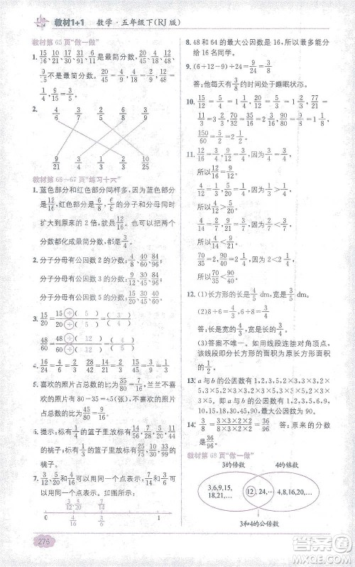 新疆青少年出版社2021教材1+1全解精练五年级下册数学人教版参考答案 新疆青少年出版社2021教材1+1全解精练五年级下册数学人教版参考答案