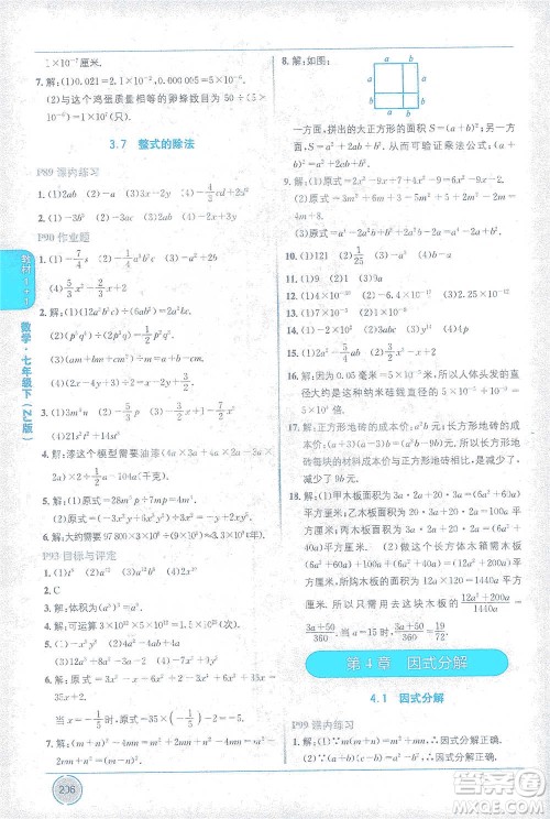 新疆青少年出版社2021教材1+1全解精练七年级下册数学浙教版参考答案
