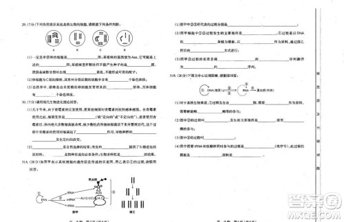 太原市2020-2021学年第二学期高一年级期末考试生物试卷及答案