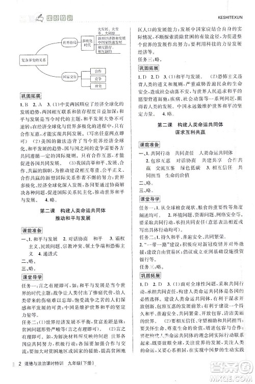 浙江人民出版社2021课时特训九年级道德与法治下册人教版答案