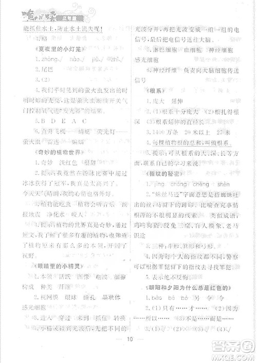 南方出版社2021渔夫阅读三年级语文参考答案
