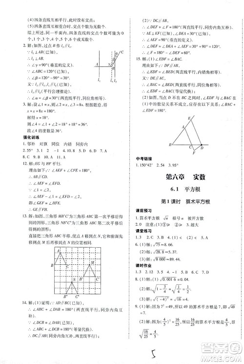 内蒙古少年儿童出版社2021本土攻略七年级数学下册人教版答案