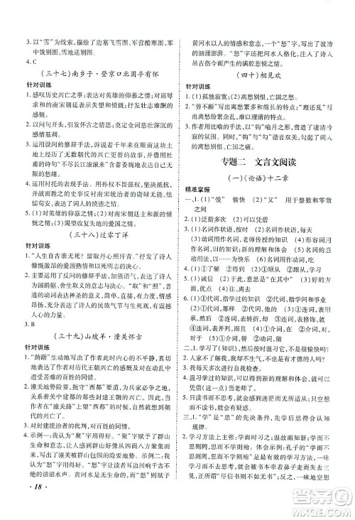 延边教育出版社2021本土攻略精准复习方案九年级语文下册人教版答案