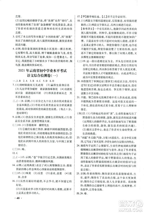 延边教育出版社2021本土攻略精准复习方案九年级语文下册人教版答案