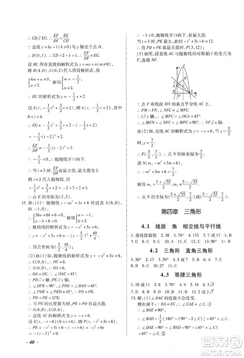 延边教育出版社2021本土攻略精准复习方案九年级数学下册人教版答案