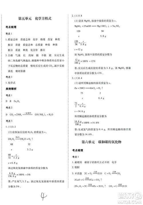 延边教育出版社2021本土攻略精准复习方案九年级化学下册人教版云南专版答案