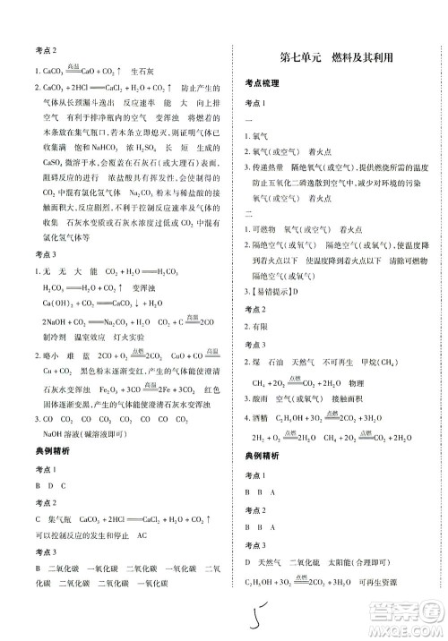 延边教育出版社2021本土攻略精准复习方案九年级化学下册人教版云南专版答案