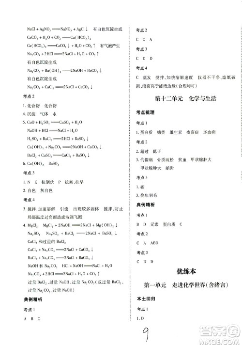 延边教育出版社2021本土攻略精准复习方案九年级化学下册人教版云南专版答案 延边教育出版社2021本土攻略精准复习方案九年级化学下册人教版云南专版答案