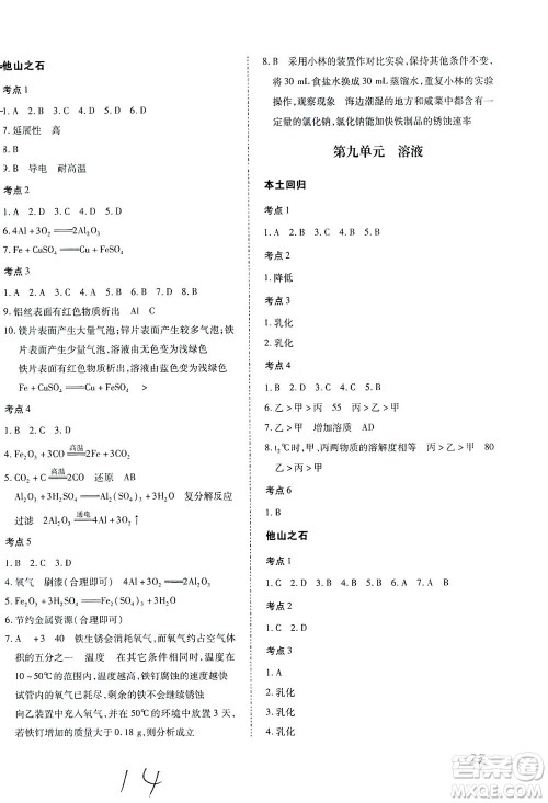 延边教育出版社2021本土攻略精准复习方案九年级化学下册人教版云南专版答案