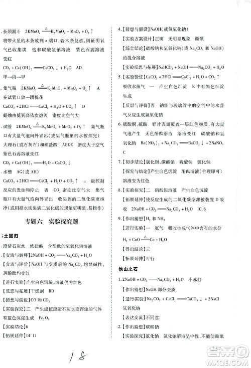 延边教育出版社2021本土攻略精准复习方案九年级化学下册人教版云南专版答案