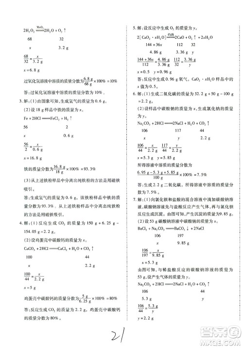 延边教育出版社2021本土攻略精准复习方案九年级化学下册人教版云南专版答案