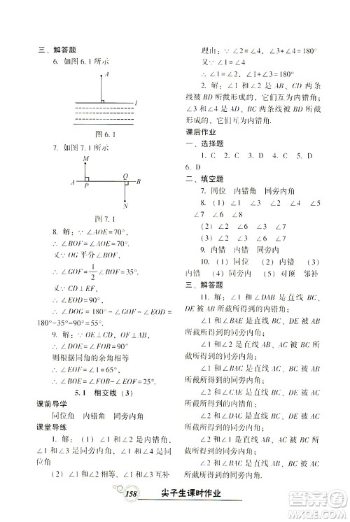 辽宁教育出版社2021尖子生课时作业七年级数学下册人教版答案