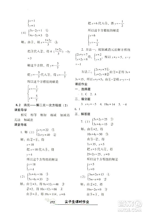 辽宁教育出版社2021尖子生课时作业七年级数学下册人教版答案